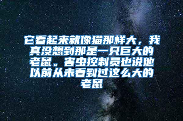 它看起來就像貓那樣大，我真沒想到那是一只巨大的老鼠。害蟲控制員也說他以前從未看到過這么大的老鼠