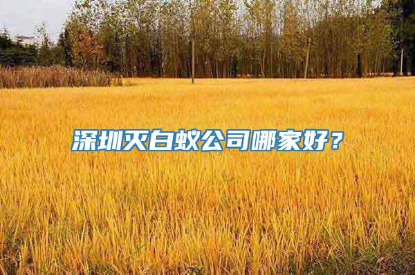 深圳滅白蟻公司哪家好？