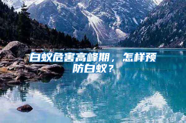 白蟻危害高峰期，怎樣預防白蟻？