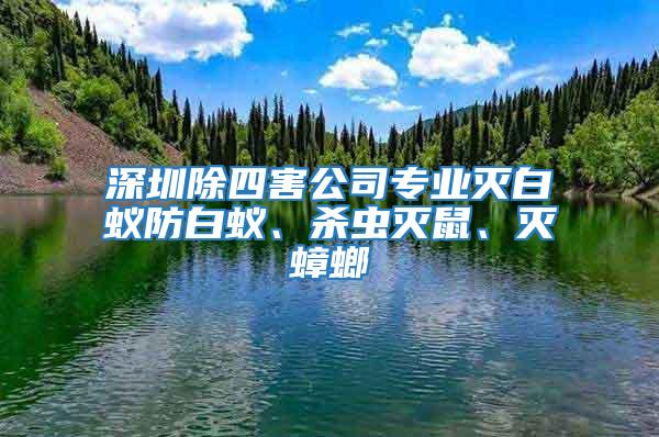 深圳除四害公司專業(yè)滅白蟻防白蟻、殺蟲滅鼠、滅蟑螂