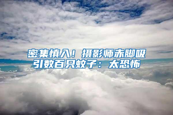 密集慎入！攝影師赤腳吸引數百只蚊子：太恐怖