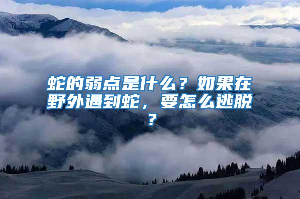 蛇的弱點(diǎn)是什么？如果在野外遇到蛇，要怎么逃脫？