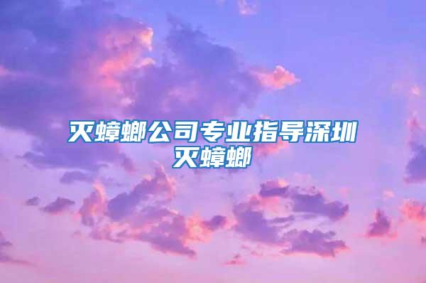 滅蟑螂公司專業(yè)指導深圳滅蟑螂