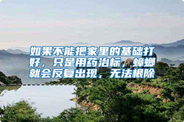 如果不能把家里的基礎(chǔ)打好，只是用藥治標(biāo)，蟑螂就會(huì)反復(fù)出現(xiàn)，無(wú)法根除