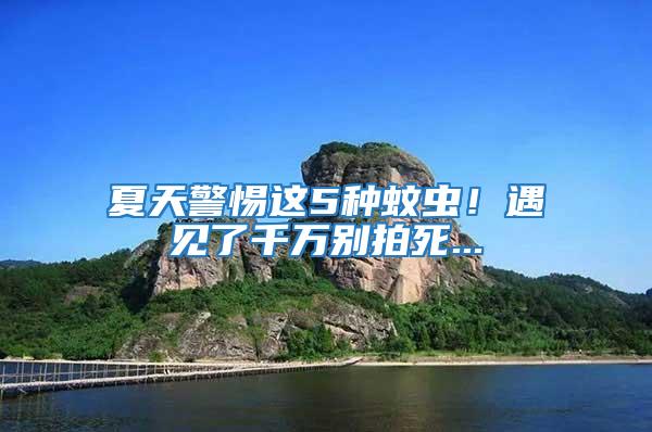 夏天警惕這5種蚊蟲！遇見了千萬別拍死...