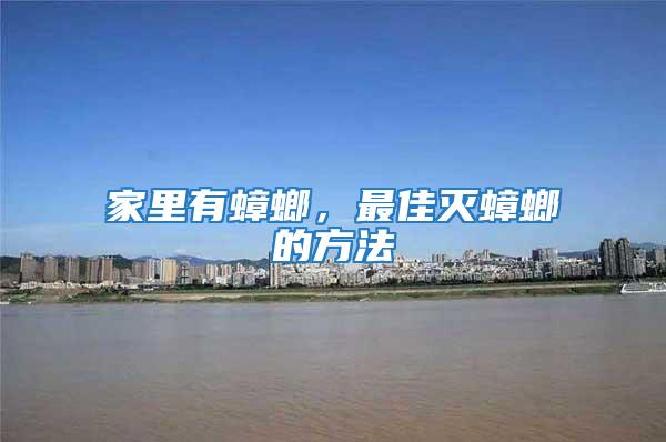 家里有蟑螂，最佳滅蟑螂的方法