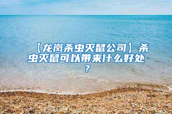 【龍崗殺蟲滅鼠公司】殺蟲滅鼠可以帶來什么好處？