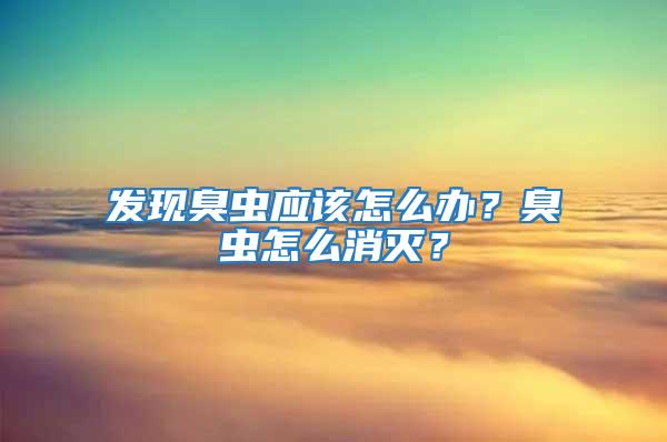 發(fā)現(xiàn)臭蟲應(yīng)該怎么辦？臭蟲怎么消滅？