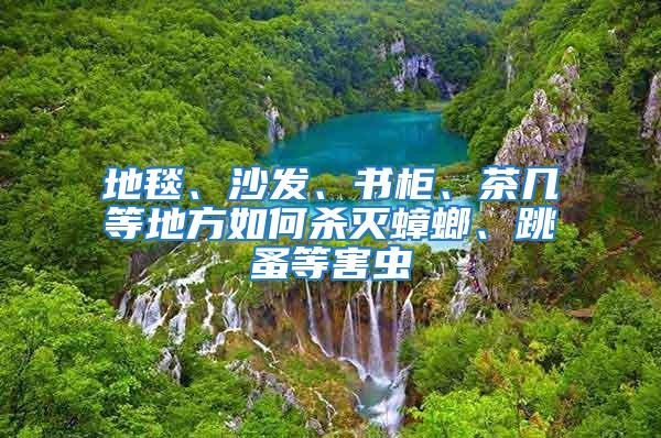 地毯、沙發、書柜、茶幾等地方如何殺滅蟑螂、跳蚤等害蟲