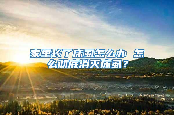 家里長了床虱怎么辦 怎么徹底消滅床虱？