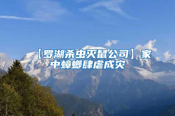 【羅湖殺蟲(chóng)滅鼠公司】家中蟑螂肆虐成災(zāi)