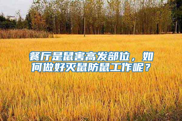 餐廳是鼠害高發部位，如何做好滅鼠防鼠工作呢？