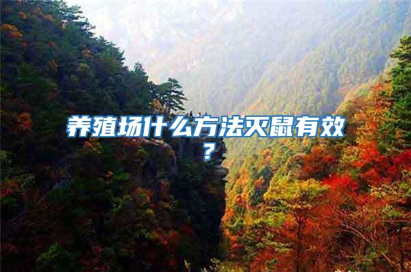 養殖場什么方法滅鼠有效？