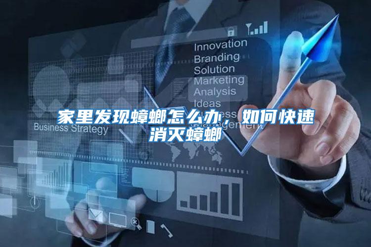 家里發(fā)現(xiàn)蟑螂怎么辦，如何快速消滅蟑螂