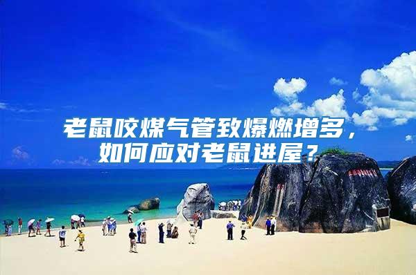 老鼠咬煤氣管致爆燃增多，如何應(yīng)對老鼠進(jìn)屋？