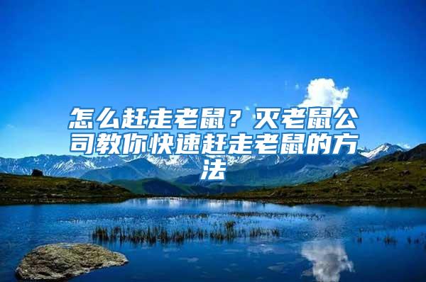 怎么趕走老鼠？滅老鼠公司教你快速趕走老鼠的方法