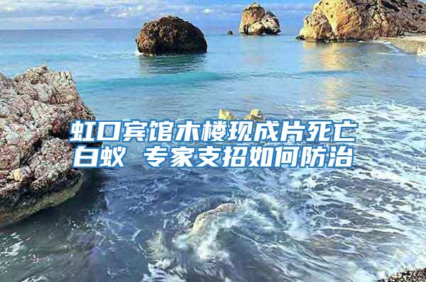 虹口賓館木樓現成片死亡白蟻 專家支招如何防治