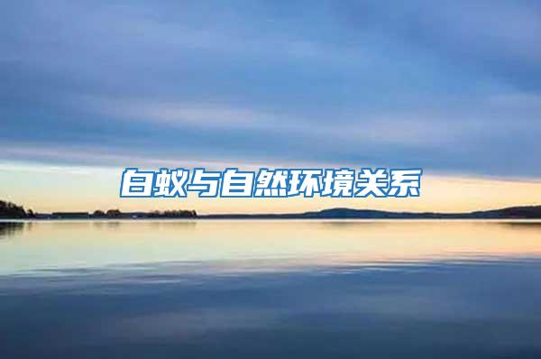白蟻與自然環(huán)境關(guān)系