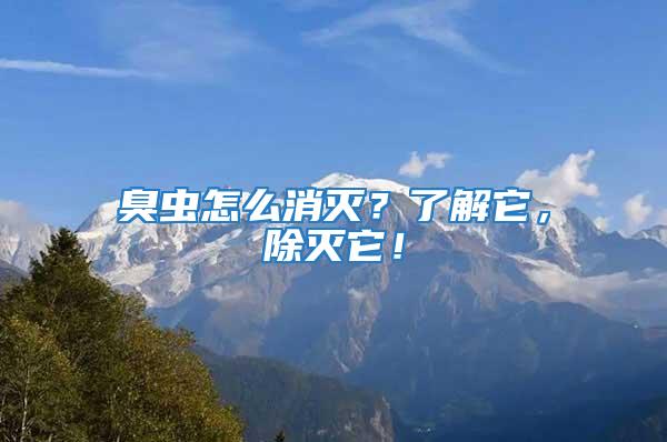 臭蟲(chóng)怎么消滅？了解它，除滅它！