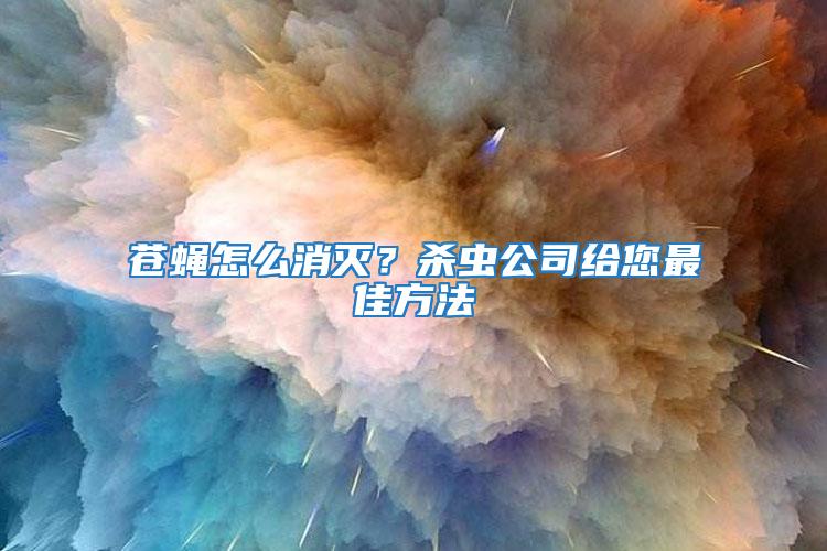 蒼蠅怎么消滅？殺蟲公司給您最佳方法