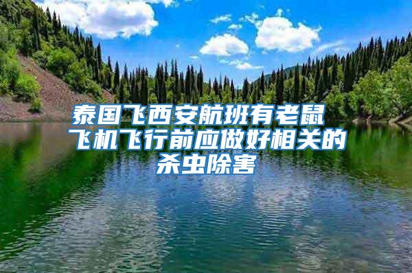泰國(guó)飛西安航班有老鼠 飛機(jī)飛行前應(yīng)做好相關(guān)的殺蟲(chóng)除害