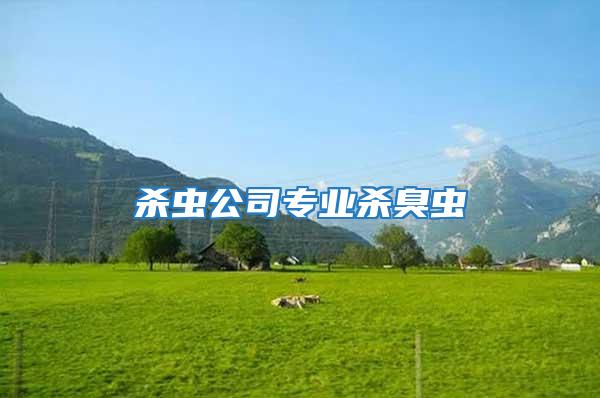 殺蟲公司專業殺臭蟲