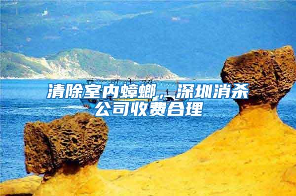 清除室內蟑螂，深圳消殺公司收費合理