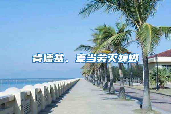 肯德基、麥當勞滅蟑螂