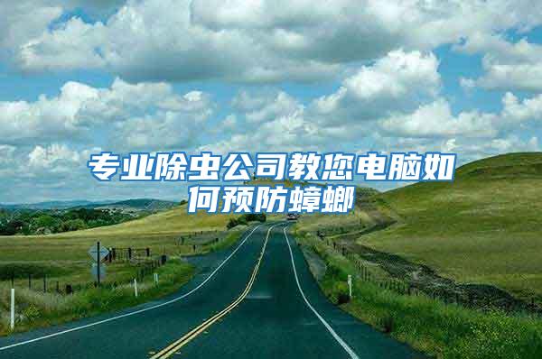 專業(yè)除蟲公司教您電腦如何預(yù)防蟑螂