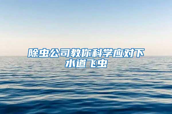 除蟲公司教你科學(xué)應(yīng)對(duì)下水道飛蟲