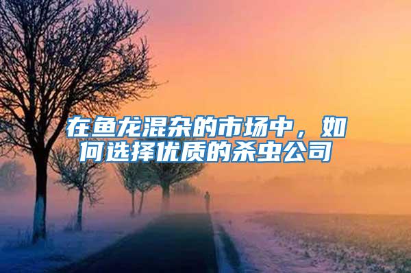 在魚龍混雜的市場中，如何選擇優質的殺蟲公司