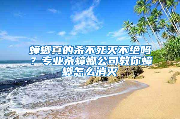 蟑螂真的殺不死滅不絕嗎？專業殺蟑螂公司教你蟑螂怎么消滅