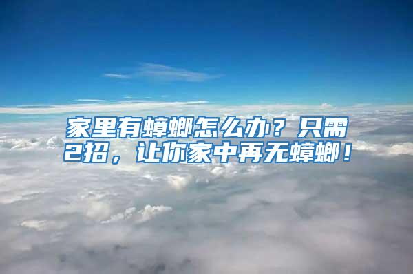 家里有蟑螂怎么辦？只需2招，讓你家中再無蟑螂！