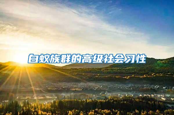 白蟻?zhàn)迦旱母呒?jí)社會(huì)習(xí)性