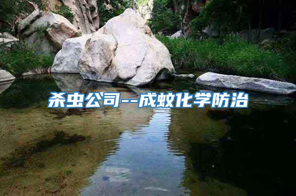 殺蟲(chóng)公司--成蚊化學(xué)防治