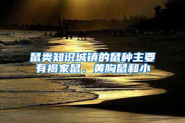 鼠類知識(shí)城鎮(zhèn)的鼠種主要有褐家鼠、黃胸鼠和小