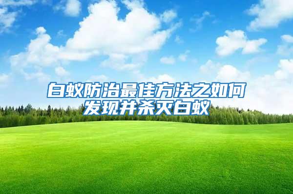 白蟻防治最佳方法之如何發現并殺滅白蟻