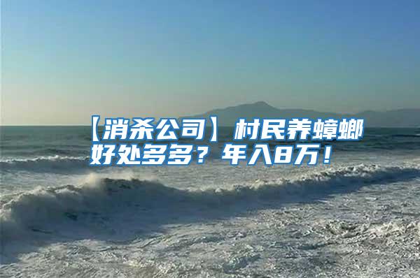 【消殺公司】村民養(yǎng)蟑螂好處多多？年入8萬！