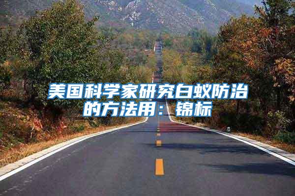 美國科學(xué)家研究白蟻防治的方法用：錦標(biāo)