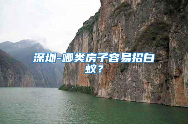 深圳-哪類房子容易招白蟻？