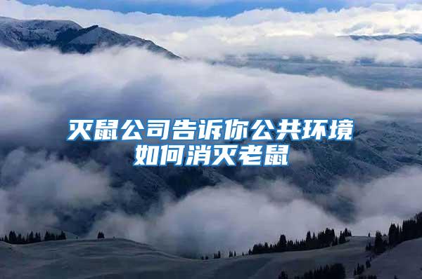 滅鼠公司告訴你公共環境如何消滅老鼠
