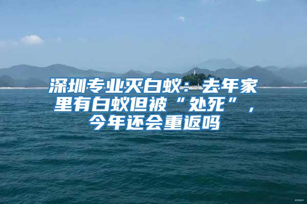 深圳專業(yè)滅白蟻：去年家里有白蟻但被“處死”，今年還會(huì)重返嗎