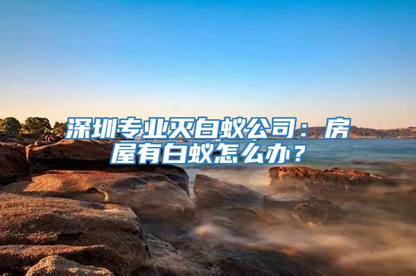 深圳專業(yè)滅白蟻公司：房屋有白蟻怎么辦？