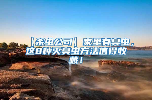 【殺蟲公司】家里有臭蟲，這8種滅臭蟲方法值得收藏！