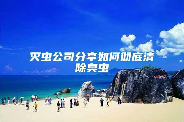 滅蟲(chóng)公司分享如何徹底清除臭蟲(chóng)