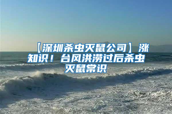 【深圳殺蟲滅鼠公司】漲知識！臺風(fēng)洪澇過后殺蟲滅鼠常識