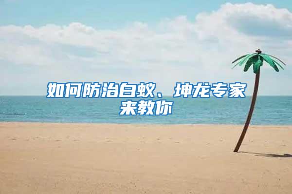 如何防治白蟻、坤龍專家來教你