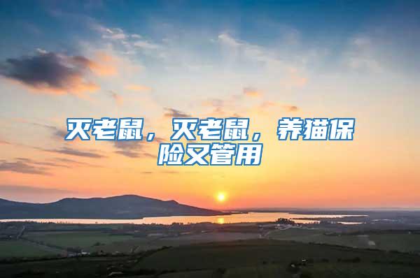 滅老鼠，滅老鼠，養貓保險又管用