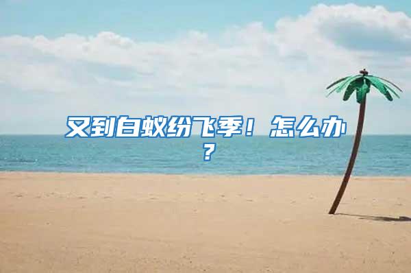 又到白蟻紛飛季！怎么辦？