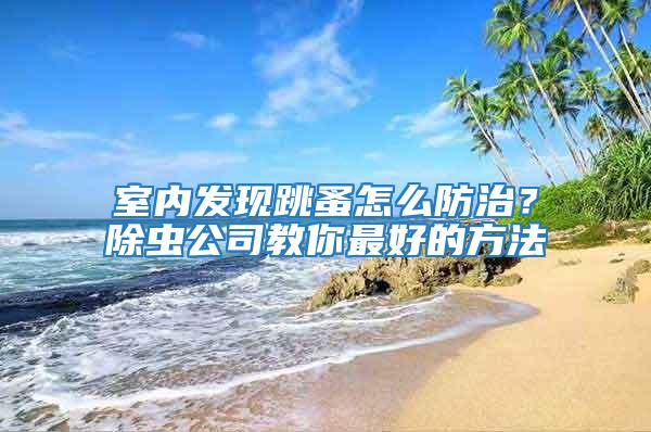 室內發現跳蚤怎么防治？除蟲公司教你最好的方法